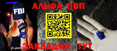 дмт Кингисепп
