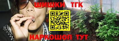 дмт Кингисепп