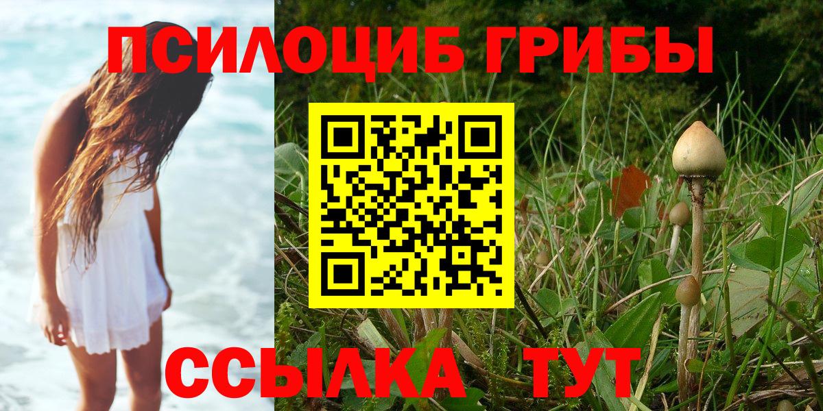 Котлас  Галлюциногенные грибы MAGIC MUSHROOMS  Вход с VPN 